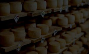 grid-cheese